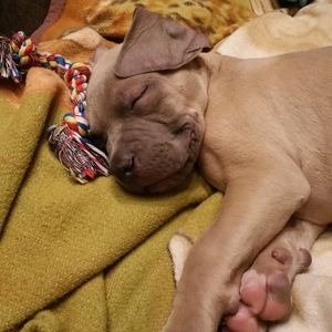 Meet your Posher, Cynthia